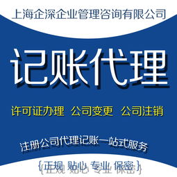 華新代理記賬 華新財(cái)務(wù)公司 華新公司注冊(cè)代理 華新記賬公司