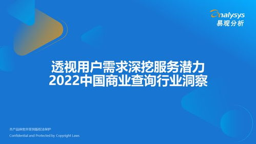 透視用戶(hù)需求深挖服務(wù)潛力 2022中國(guó)商業(yè)查詢(xún)行業(yè)洞察